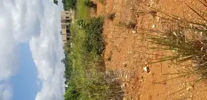 Two Plots for Sale at Santasi Darko