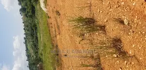 Two Plots for Sale at Santasi Darko