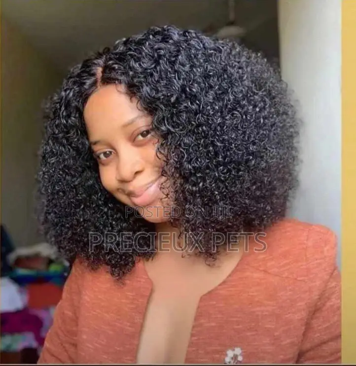 Pixie Curls Series 2