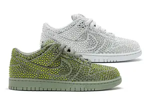 Nike Dunk Cactus