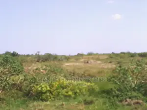 Titled Land at Appolonia