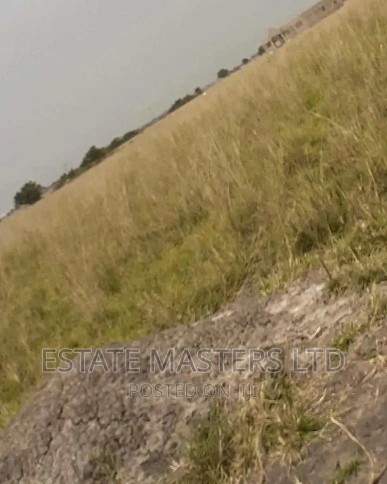 Problem Free Land on Promo