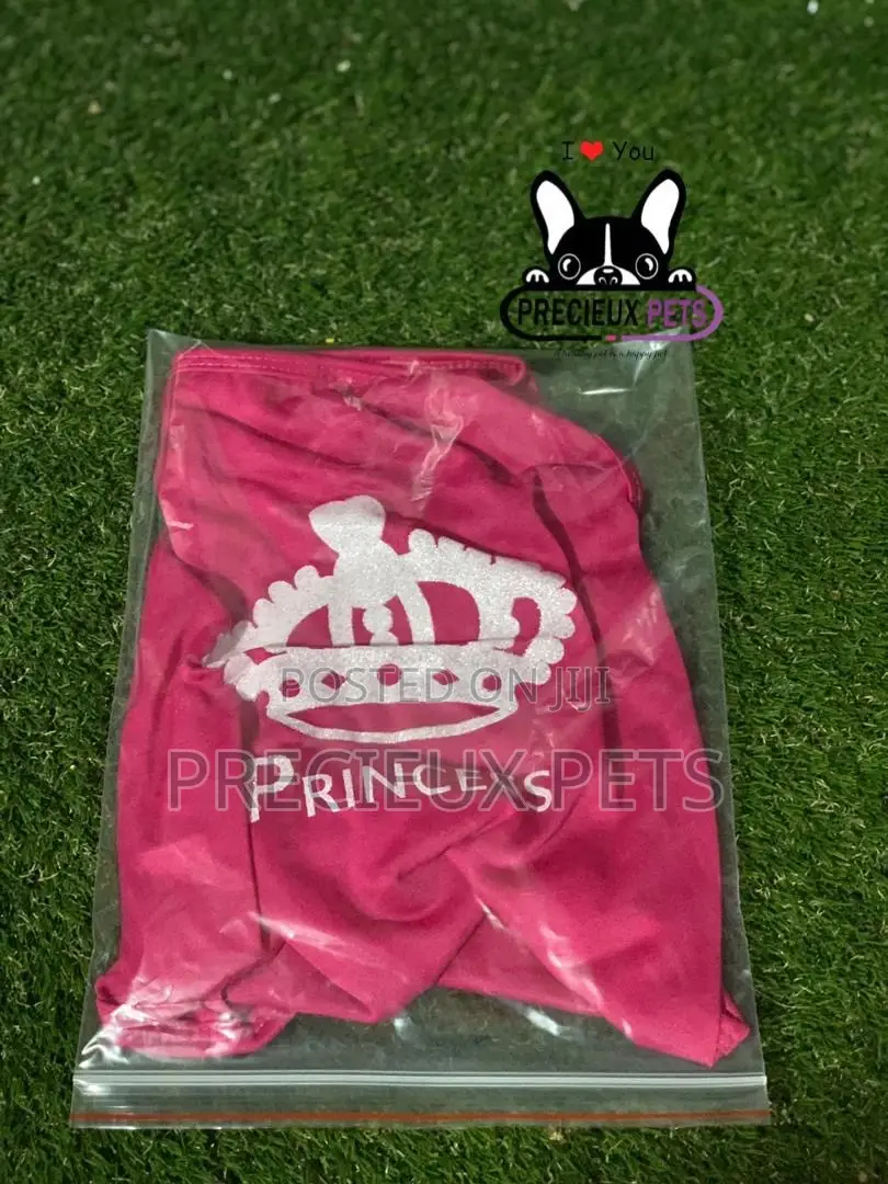 Toy Dog Clothing Series 3