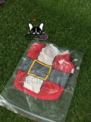 Toy Dog Cloth Series 5
