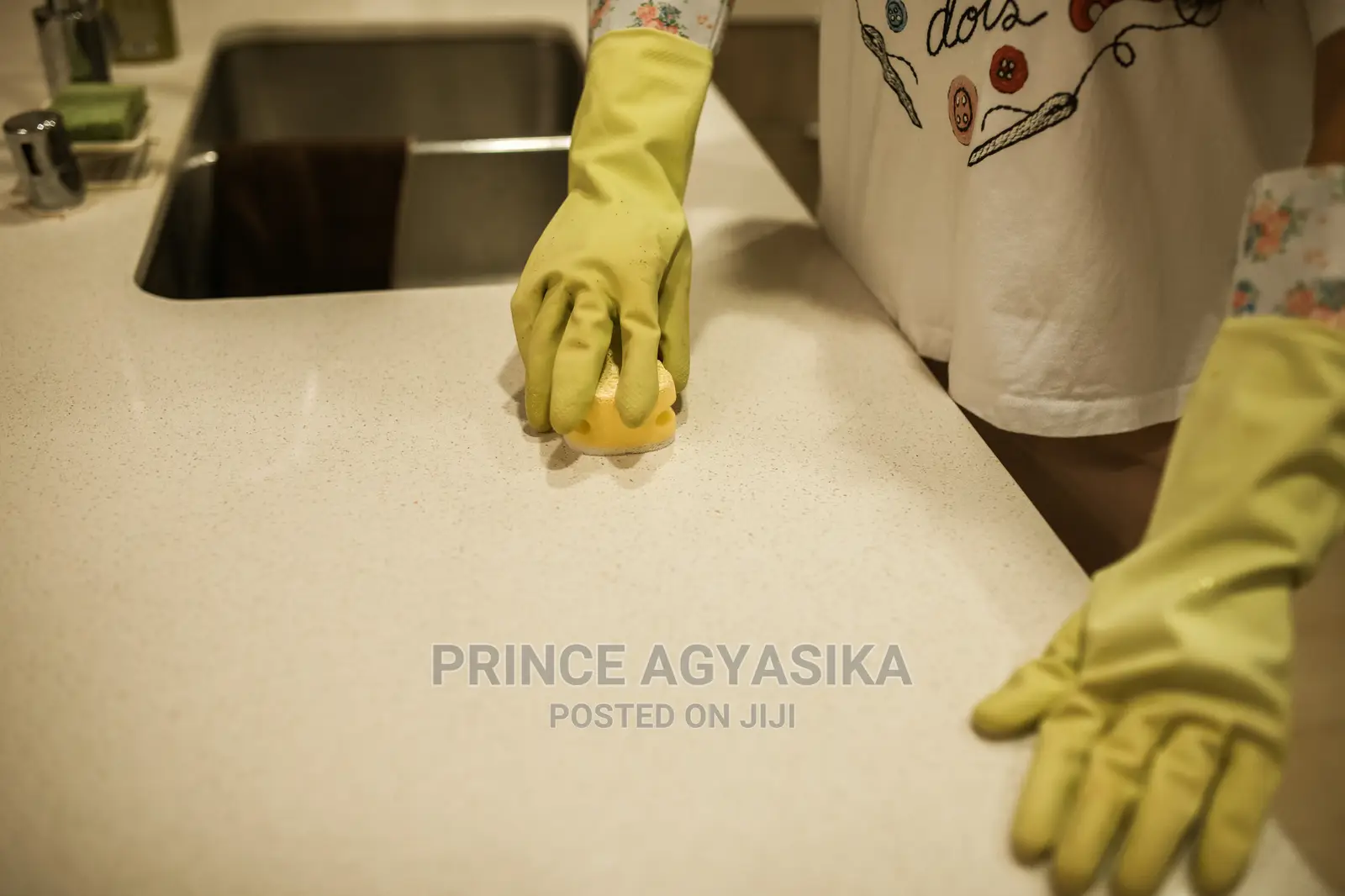 Professional Cleaning Company