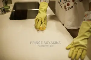 Professional Cleaning Company