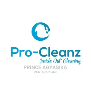 Professional Cleaning Company