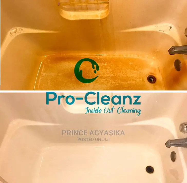 Professional Cleaning Company
