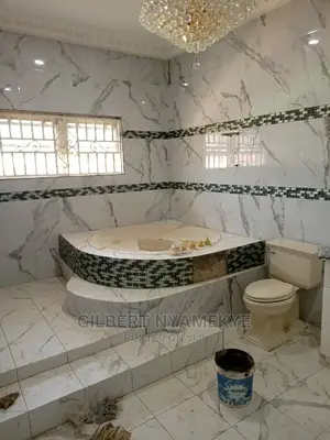 Professional and Experience Tiler for Your Project