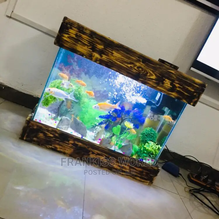 Mini Design Aquarium
