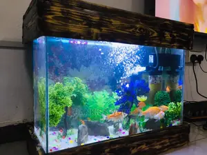 Mini Design Aquarium