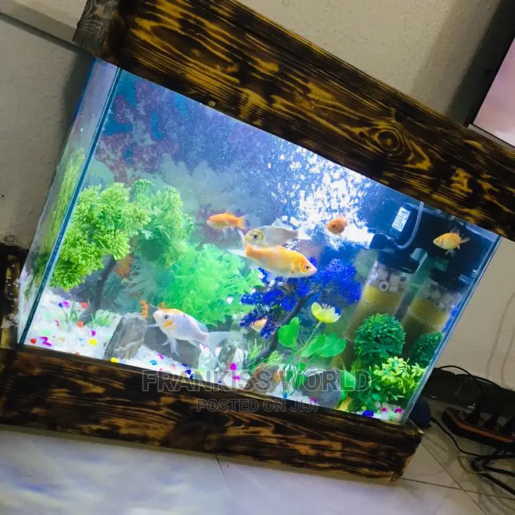 Mini Design Aquarium