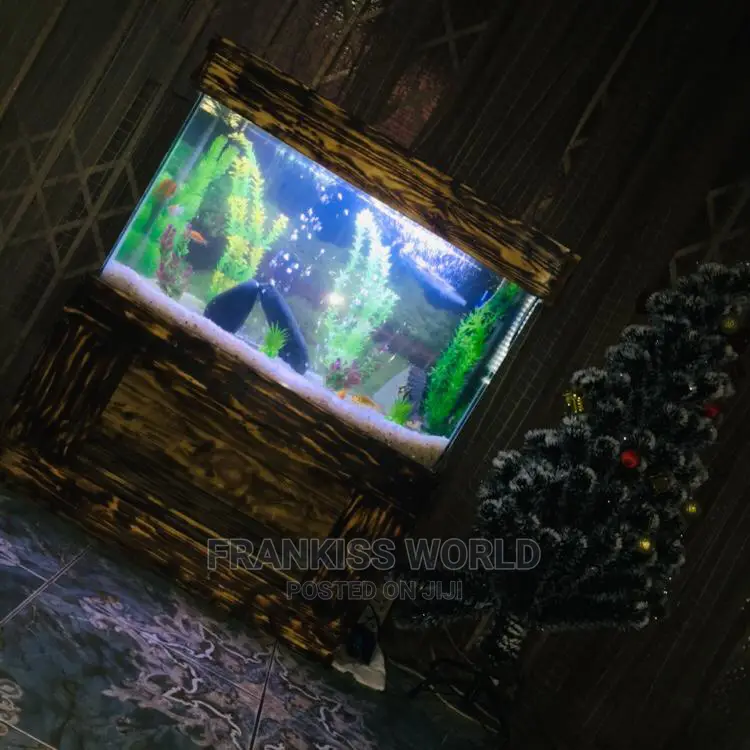 Aquarium for Sale