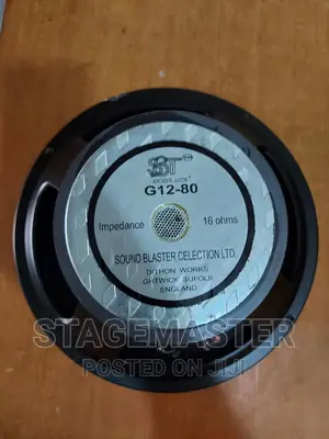 Celection 12 Inches Naked Speaker.