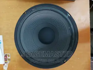 Celection 12 Inches Naked Speaker.