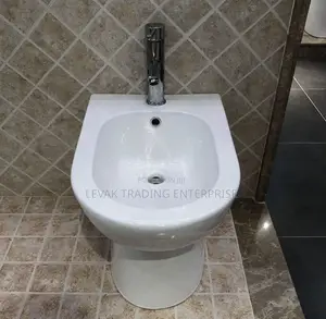 Bidet Urinal Port - Urinal Bowl