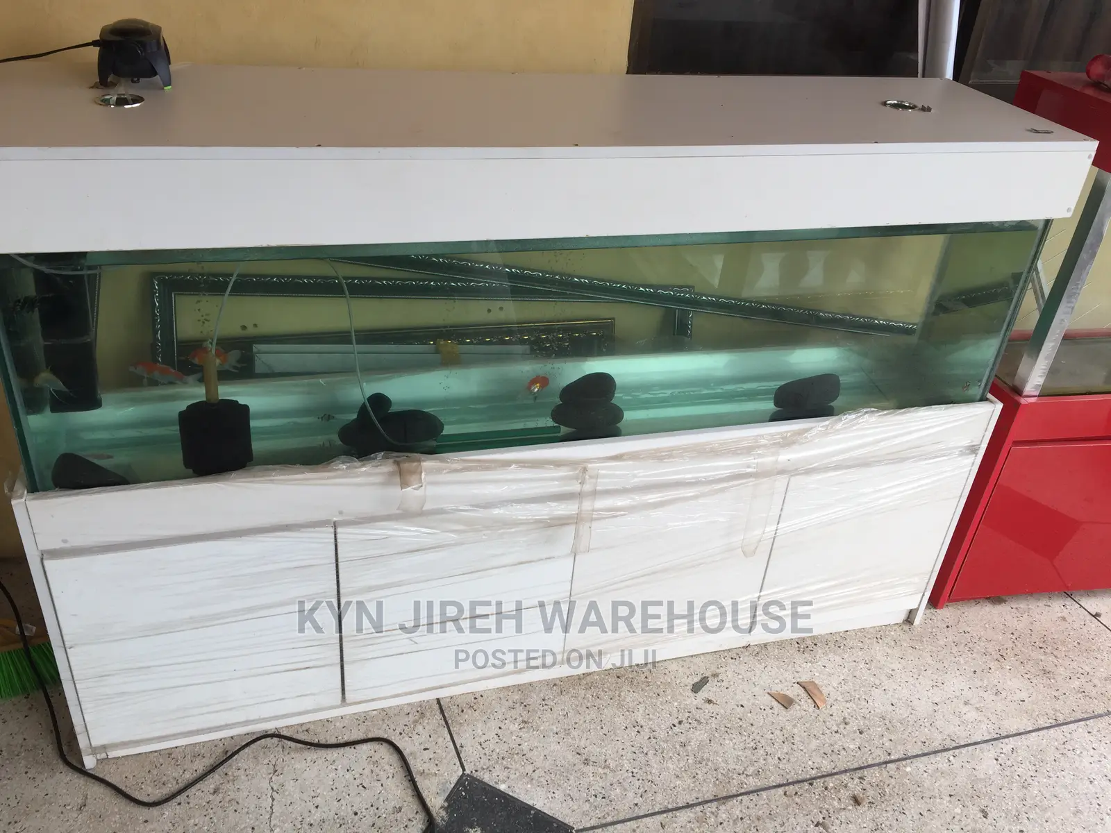 Aquarium Tank With Fishes