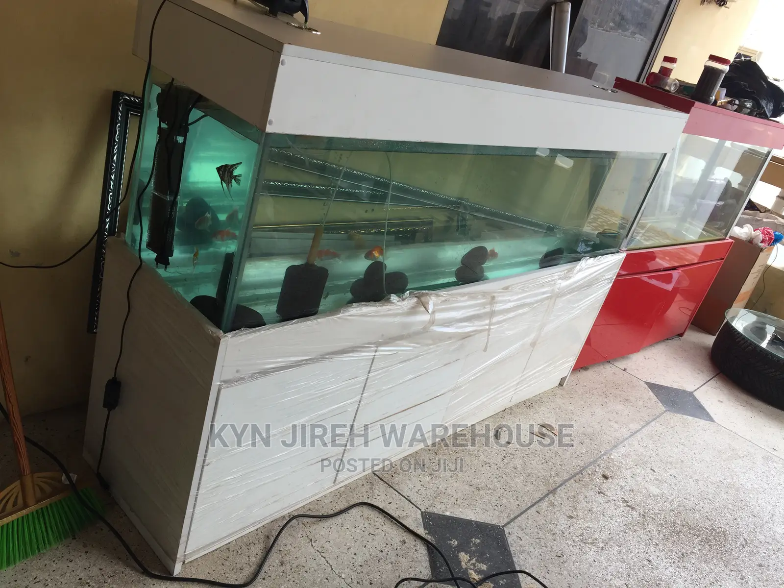 Aquarium Tank With Fishes