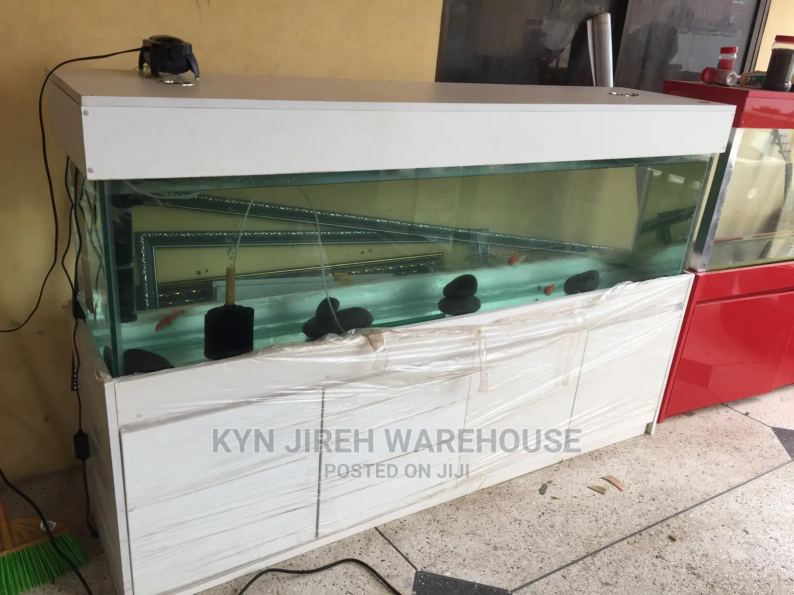 Aquarium Tank With Fishes