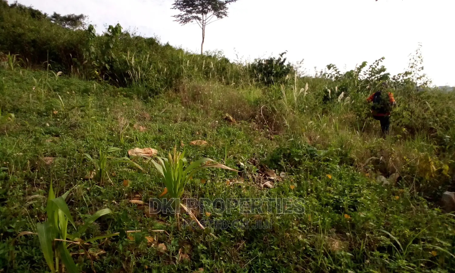 Plots of Land for Sale at Sasaabi.
