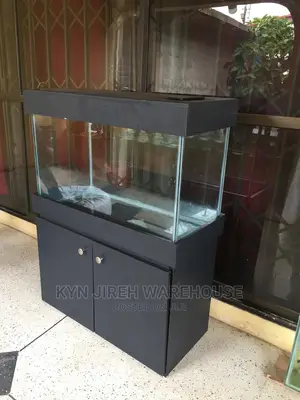 Aquarium Tank