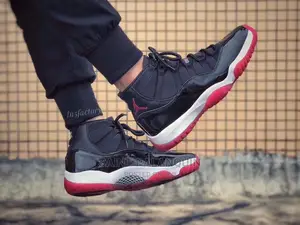 Nike Jordan 11