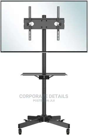 Tv Stands (Plasma and Projector)