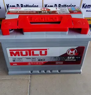 Mutlu Car Battery