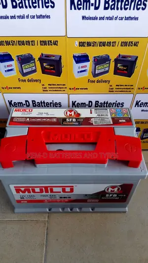 Mutlu Car Battery
