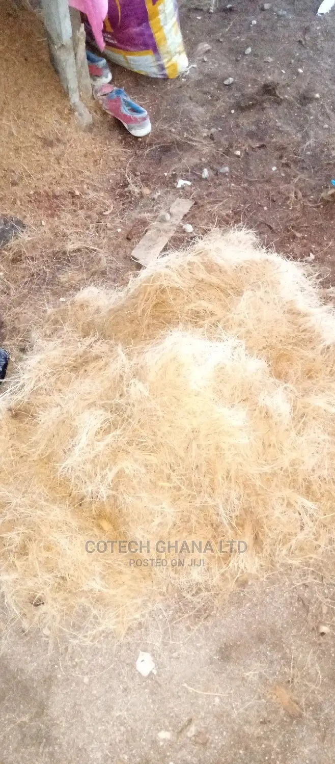 Treated Coconut Fiber for Bio Digester