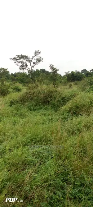 10.000 Acres of Land for Lease