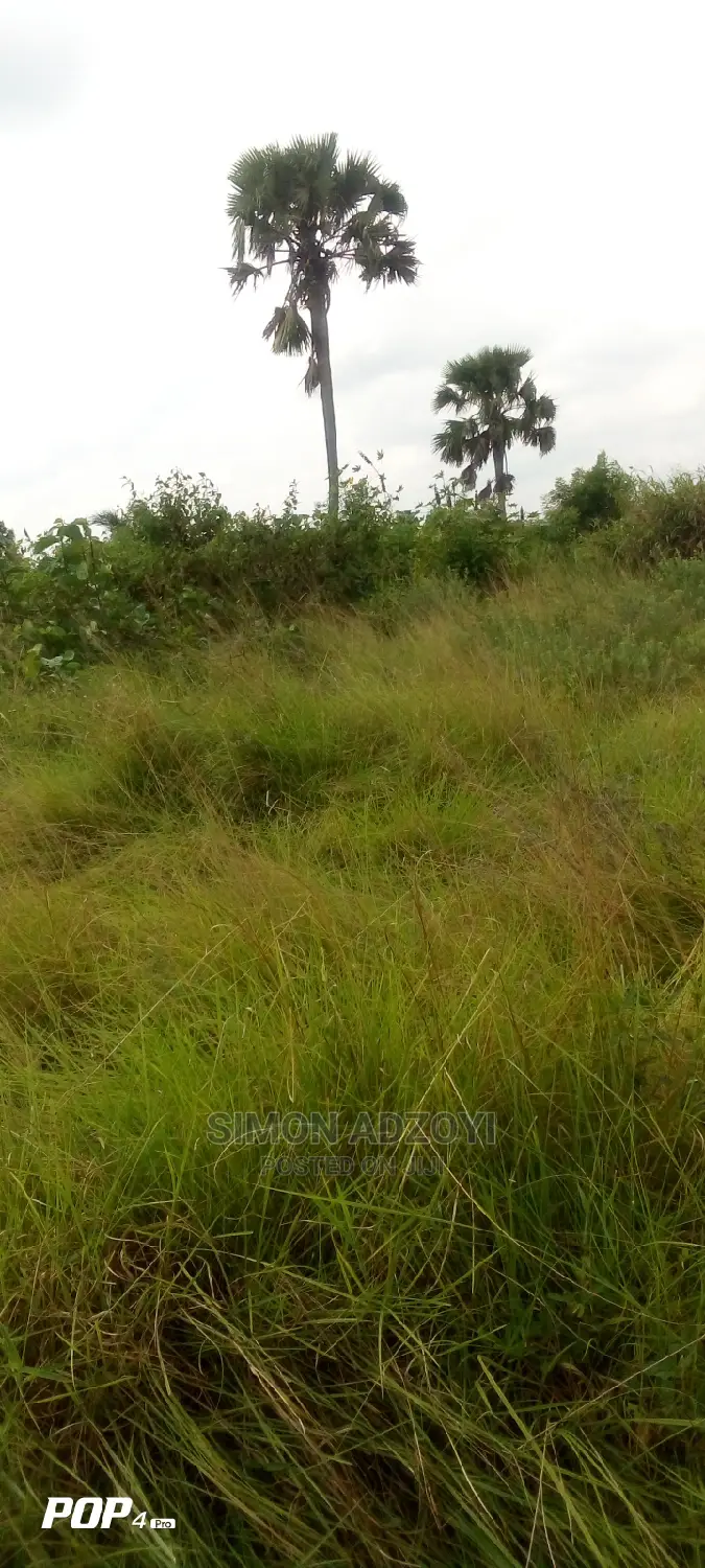 10.000 Acres of Land for Lease