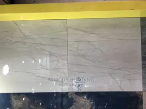 60/60 India Floor Tiles