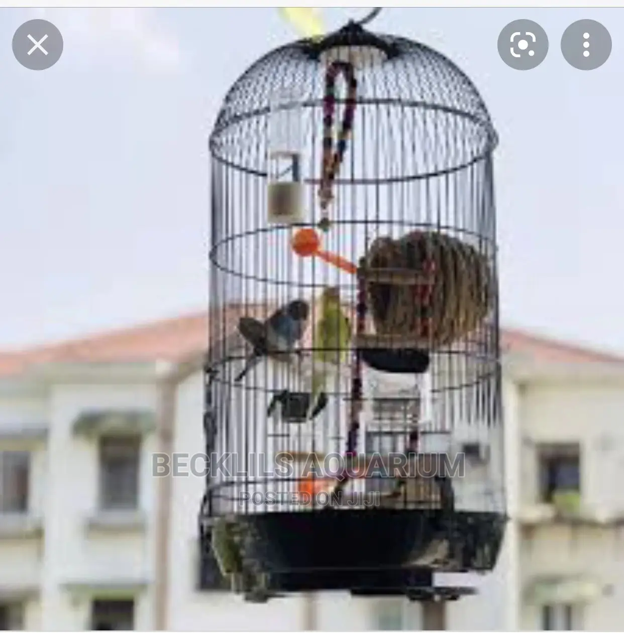 Round Bird Cage