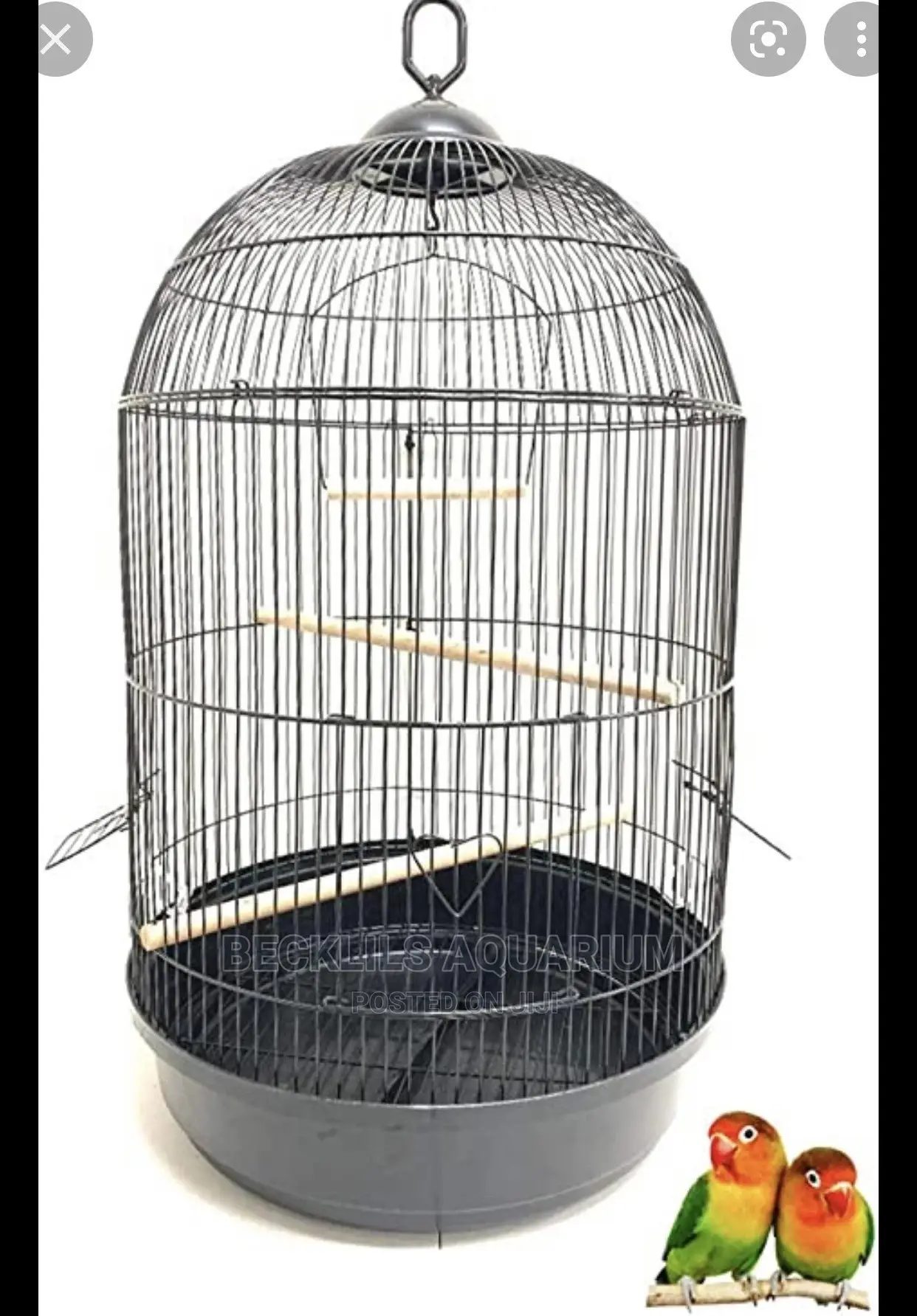Round Bird Cage