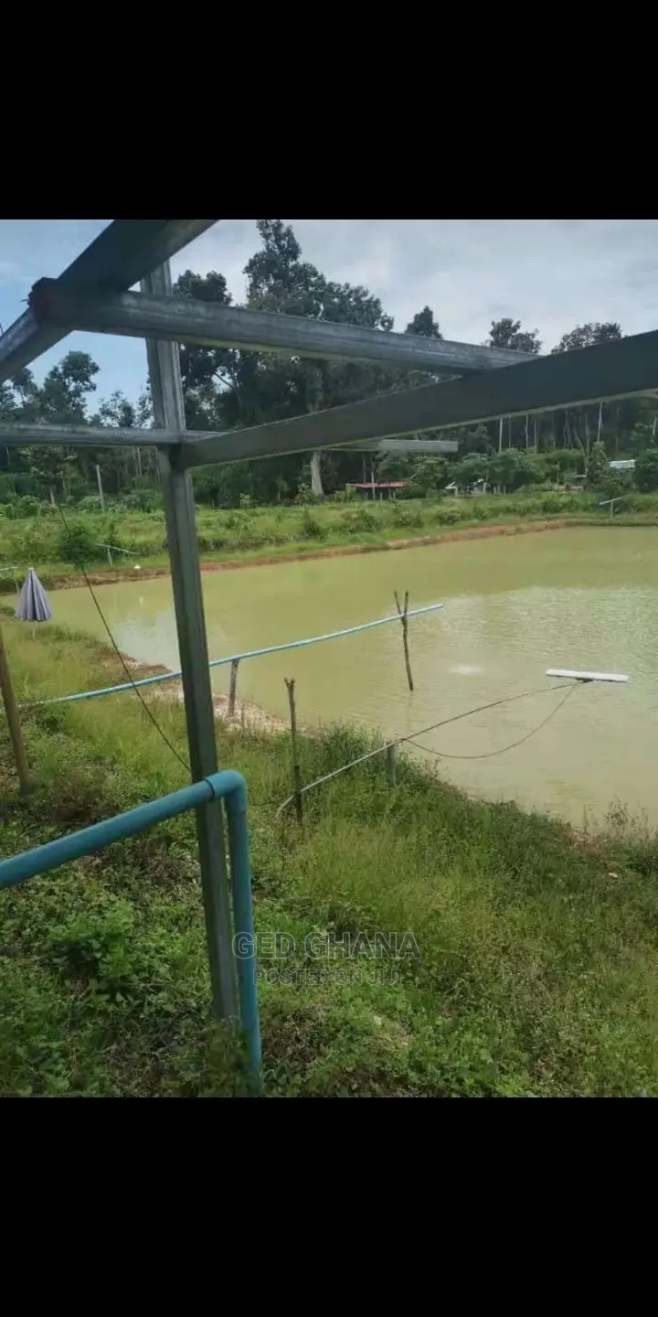 Solar Water for Farming