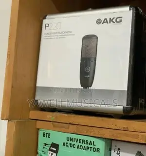 Photo - AKG P220 Vocal Condenser Microphone