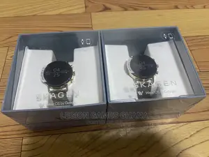 Skagen Executive Smart Watch