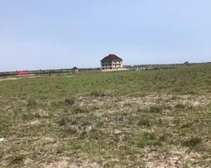 Fine Area Land for Sale at Tsopoli