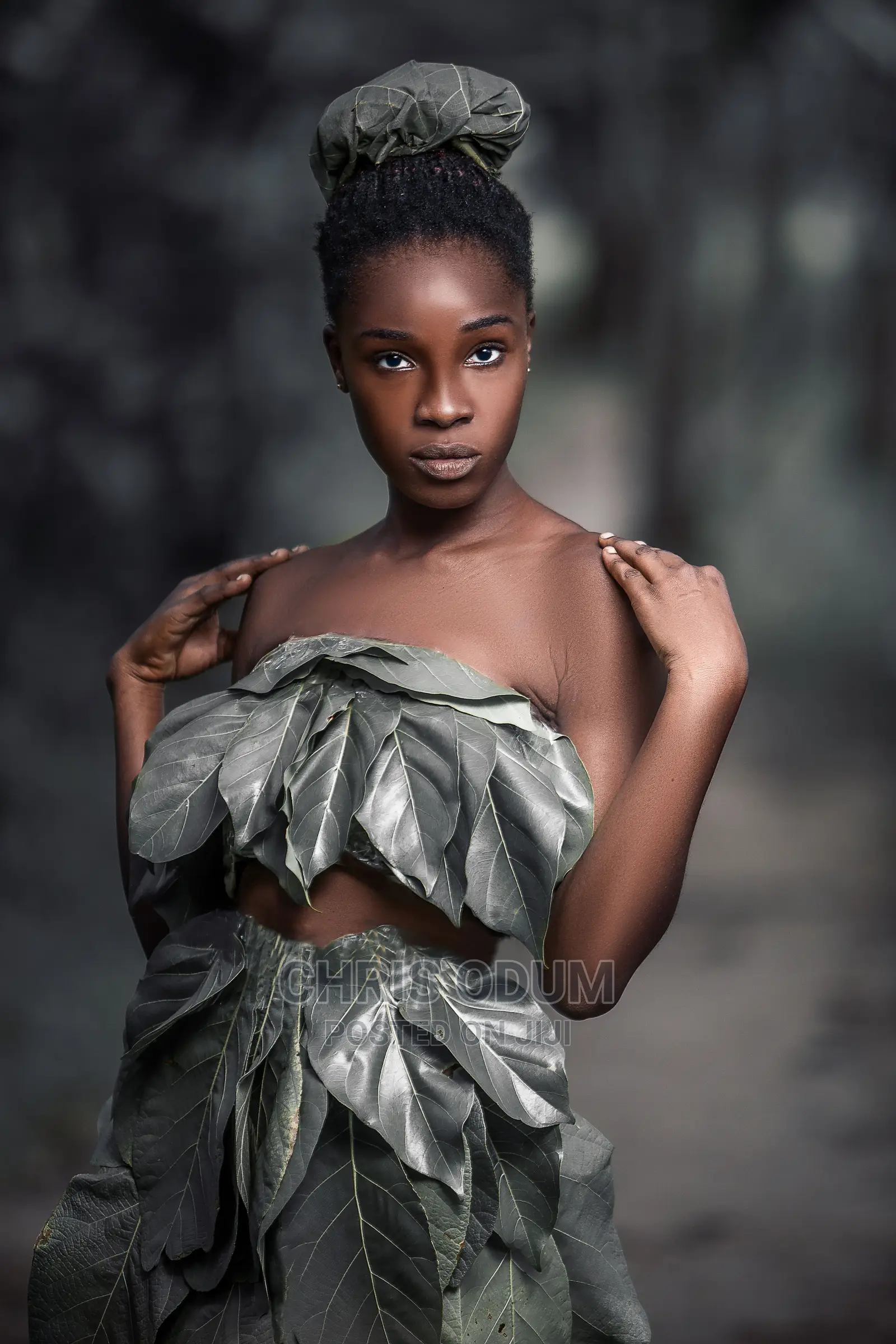 Photography and Videography