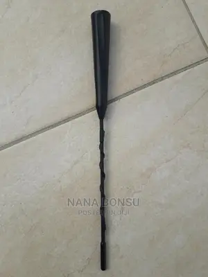 Chevrolet Spark Radio Antenna