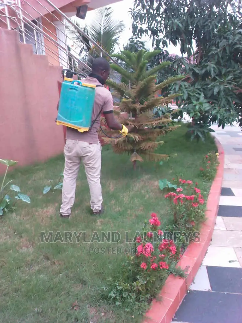 Laundry and Cleaning Services
