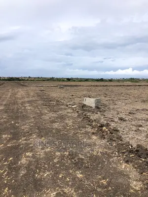 Very Flat and Vantage Point Land for Sale at Tsopoli
