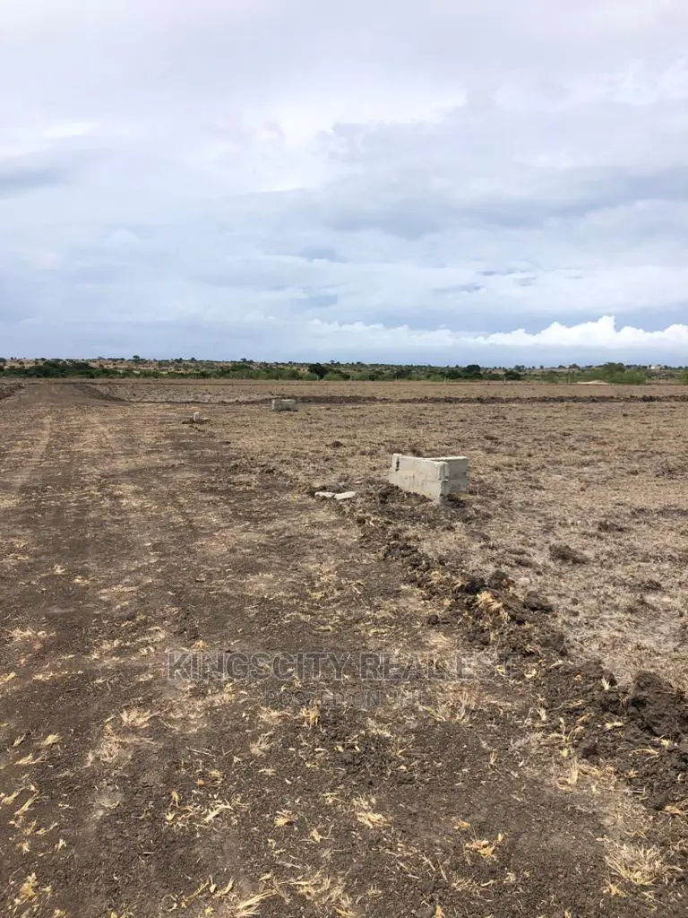 Very Flat and Vantage Point Land for Sale at Tsopoli