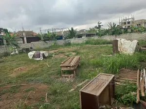 1 Plot of Land for Sale at Tsse Addo