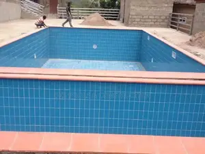 Swimming Pool Contractor