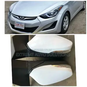 Hyundai Elantra 2015 Side Mirror