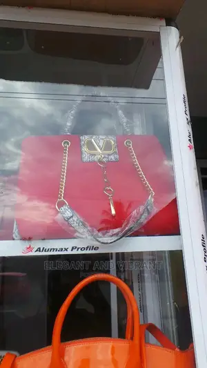 Beautiful Ladies Designer Bag