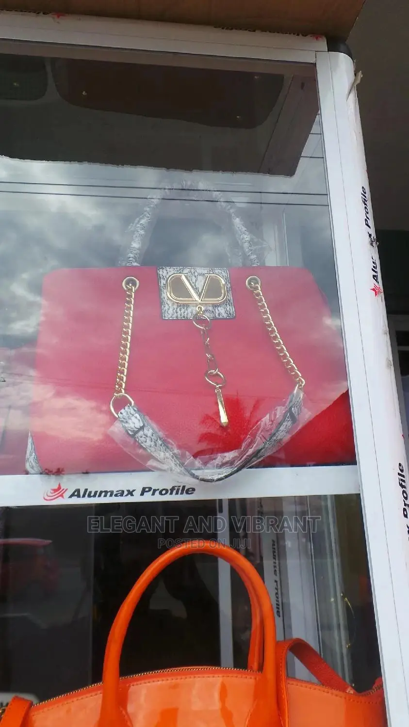 Beautiful Ladies Designer Bag