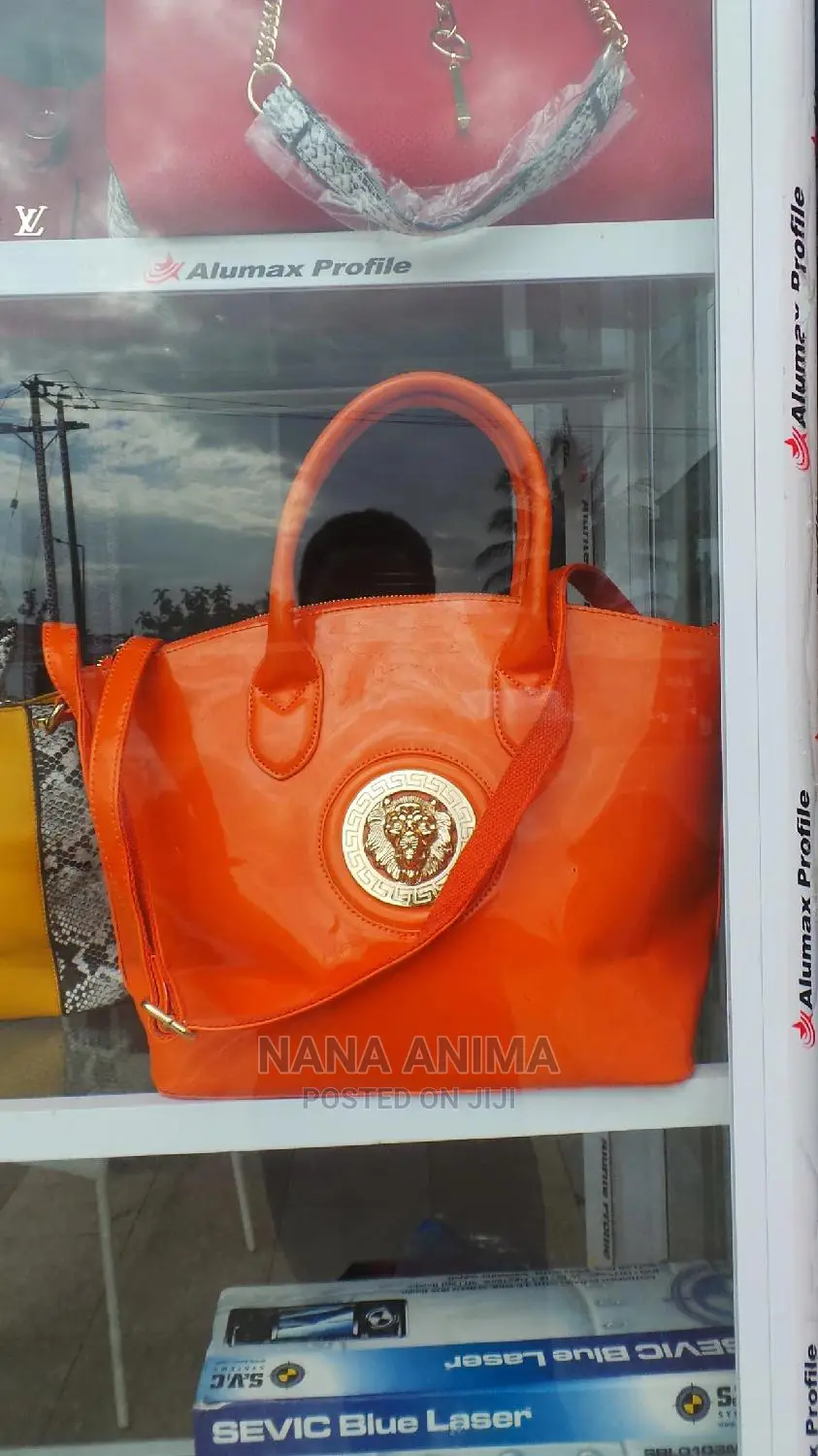 Authentic Designer Ladies Bag